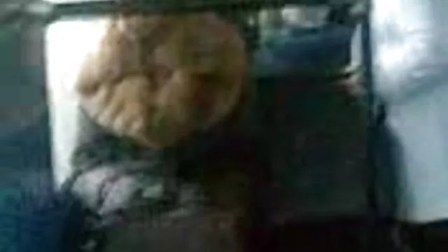 Seksi porno kaydı Bölge türk hamile pornosu