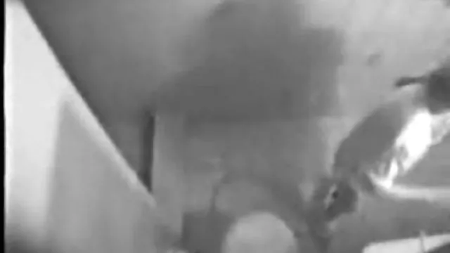 Seksi porno kaydı Lisa türk sikişlri Ann big soapy tits